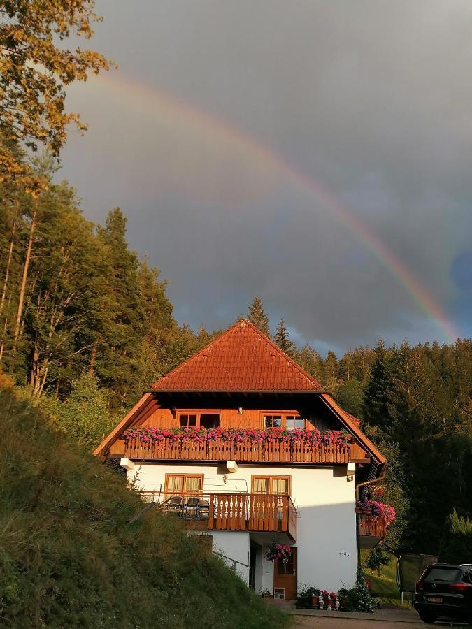 Ferienwohungen Im Kuchersbach Hornberg Exterior photo